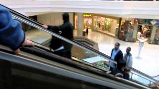 Schindler Escalators By JC Penney Woodfield MallAVI [upl. by Selle]