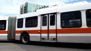 Mississauga Brampton amp York Region Transit Bus Systems [upl. by Rosy]