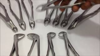 How to use GDC Dental Extraction Foreceps Set of 12 [upl. by Arahsat]