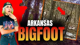 A HUNTERS TERRIFYING ENCOUNTER WITH A BIGFOOT FAMILY [upl. by Sices]