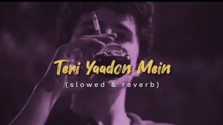 Teri Yaadon Mein  Slowed amp Reverb  kk  Shereya goshal  The killer [upl. by Pauwles]