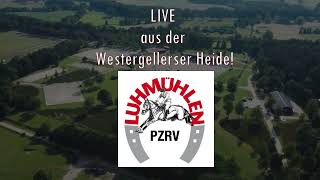 Deutsche Jugendmeisterschaft Vielseitigkeit Luhmühlen 30062024  Springen Finale [upl. by Noir]