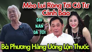 Cô Tư Nói Về Nguyễn Phương Hằng Uống Lộn Thuốc Nge Mà Lạnh Cả Người  Lang Thang Phố Thị [upl. by Sheepshanks]