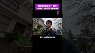 젊은 노총각 발키리의 남미 여행  🇺🇾우루과이  우루과이의 미친 물가 [upl. by Hinze]