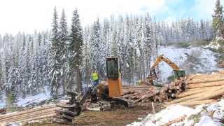 Logging 4 leaf logging [upl. by Rigdon]