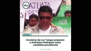 Cocaleros de Los Yungas proponen a Andrónico Rodr [upl. by Barstow766]