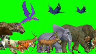 Animal Stampede green screen  Funny Animals green Screen All cartoon animal running green screen [upl. by Mcintosh]