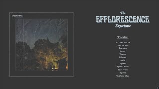 Floras Embrace  The Efflorescence Experience Full Album Premiere [upl. by Ainattirb]