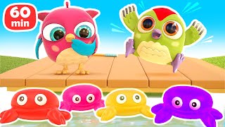 Baby cartoons amp baby videos  Hop Hop the owl full episodes cartoons for kids  Toys and colors [upl. by Harvard]