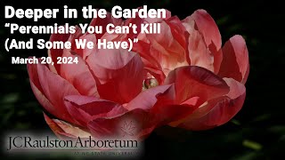 Deeper in the Garden  quotPerennials You Cant Kill And Some We Havequot [upl. by Adnawahs]