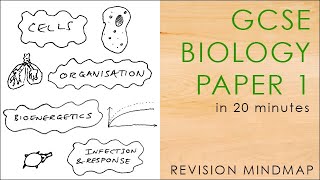 All of BIOLOGY PAPER 1 in 20 mins  GCSE Science Revision Mindmap 91 AQA [upl. by Akemit]