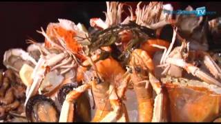 LE SUFFREN restaurant brasserie parisienne fruits de mer paris 75015 wwwpariszoomtvcom [upl. by Yborian]