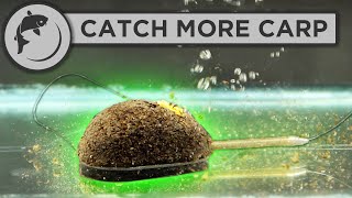 How To Fish The Method Feeder  5 Steps To Catch More Fish [upl. by Ayotna]