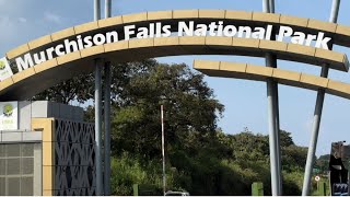 TRAVEL WITH ME THROUGH MURCHISON FALLS NATIONAL PARK 🏞️ UGANDA 🇺🇬 travel youtube [upl. by Aleck]