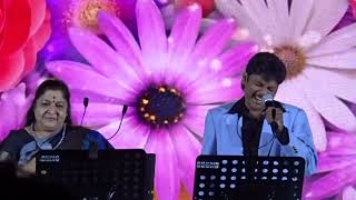 Dillu Baru JaaneKS Chithra Live in Concert Johor Malaysia 2019 [upl. by Iraj]