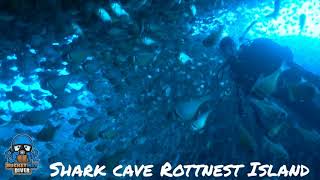 Shark Cave Rottnest Island [upl. by Aggri]