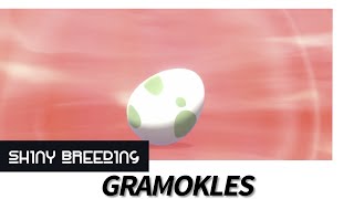 GRAMOKLES  SHINY Breeding 🥚  Pokemon Schild Edition  2021 [upl. by Kassel]