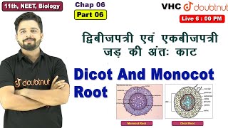 Part 06 Dicot And Monocot Root द्विबीजपत्री एवं एकबीजपत्री जड़ की अंतः काट 11th Biology [upl. by Einohpets]