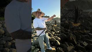 Fishing redondo beach ca fishing fishingvideo [upl. by Notrem]