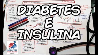 Fisiología Diabetes e Insulina Generalidades [upl. by Omocaig613]