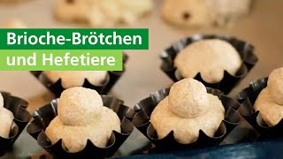 BriocheBrötchen selber backen amp Hefetiere für Kinder  AOK [upl. by Sokairyk]