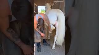 Why does a horse have an iron shoe on its legfacts ytshorts horse [upl. by Moulden669]