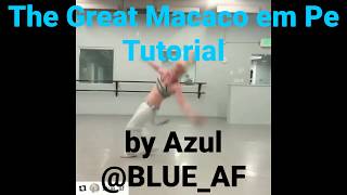 The Great Macaco em Pe Tutorial [upl. by Sirehc477]