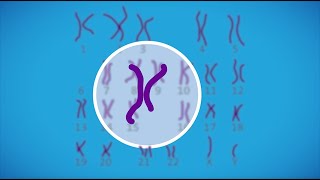 Prenatal testing for chromosomal abnormalities [upl. by Winston]