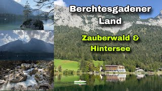 Berchtesgadener Land  Zauberwald amp Hintersee [upl. by Lindly]