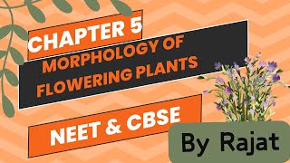 Morphology of flowering plants  Class 11 [upl. by Vaios679]