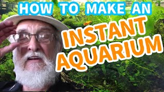 How to Setup A Natural Aquarium  Low Maintenance Quick and Easy [upl. by Sawyor]