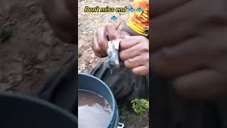 fish skin remove 😋😋subscribe mychannel [upl. by Ahsanat]