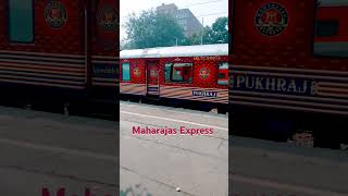 Maharajas Express travel music love train indiantrain tour travelblog nature [upl. by Mathe659]