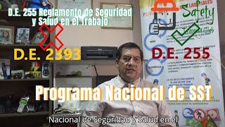 Decreto Ejecutivo 255 Resumen [upl. by Bilat]