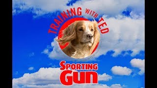 Gundog Training  quotTraining With Tedquot  Retrieving [upl. by Rahel]