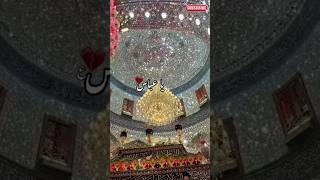 abbas se kehna haishabi e hazrath abbas askarbala statusya hussain asbabul hawajghazihit [upl. by Yeaton]