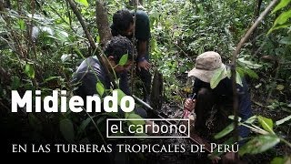 Midiendo el carbono en las turberas tropicales de Perú [upl. by Adamina]