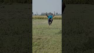 Roundup backhand spring shorts viralshorts trainding [upl. by Selokcin]