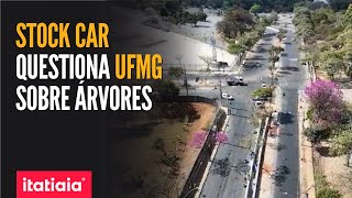 UFMG TEVE 5 MIL ÁRVORES CORTADAS NOS ÚLTIMOS ANOS DIZ ESTUDO [upl. by Ahsinrad]