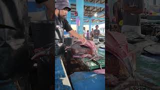 Tuna fish cutting skills [upl. by Cicenia658]