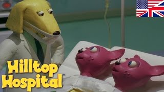 Hilltop Hospital  Siamese Twins S04E11 HD  Cartoon for kids [upl. by Akkinahs]