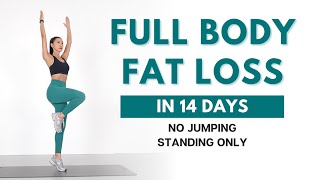 FULL BODY FAT LOSS in 14 Days  40 min Standing Workout  No Jumping Beginner Friendly [upl. by Megan]