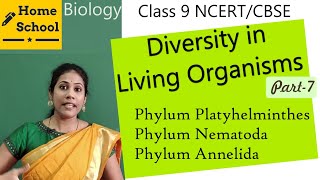 Diversity in living organisms class 9 biology part 7home school [upl. by Kistner236]