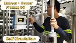 EndressHauser Promag 50  Flow Transmitter  Self Simulation  Calibration  Tagalog Tutorial [upl. by Ennayd]