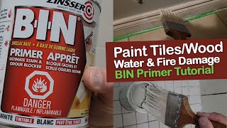 Best Stain Blocking Paint and Primer in One  Zinsser BIN Primer Ultimate Stain Color Blocker Primer [upl. by Winchester]