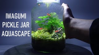 PICKLE JAR AQUARIUM  Portable Iwagumi Aquascape  no filter no heater walstad method setup [upl. by Yelsha]