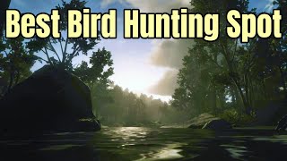 Best Small Bird Hunting Spot  Perfect Robin Woodpecker Oriole Cardinal Blue Jay more  RDR2 [upl. by Okechuku]