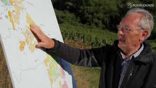 PouillyFuissé explained by JeanPierre Renard [upl. by Ishii]