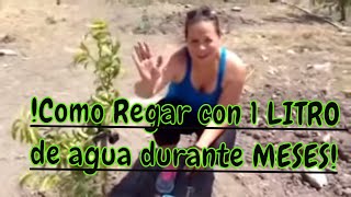 Cómo regar tus plantas con un litro de agua durante meses FACIL RAPIDO ECONOMICO RIEGO SOLAR [upl. by Vail]