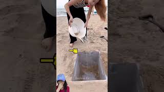 PRANK BESTIE PELIT DI KOLAM PASIR PANTAI ⁉️shorts dubbing funny [upl. by Anerec843]